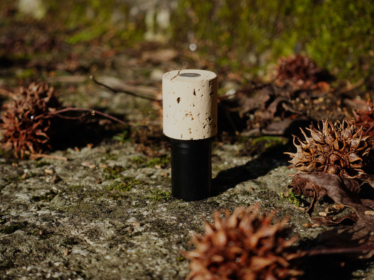 Cortiça Omnidirectional Condenser Microphones - Matched Stereo Pair
