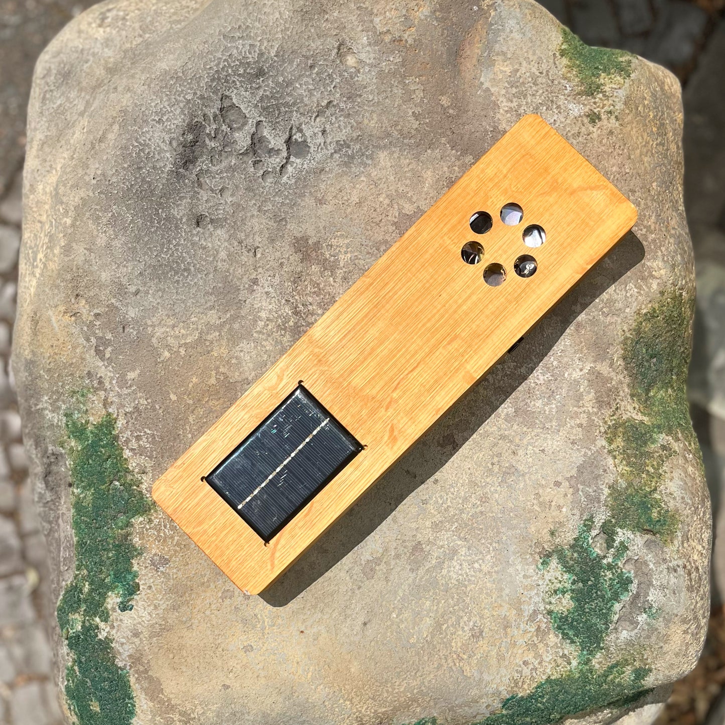 Studworth '25 - American Oak