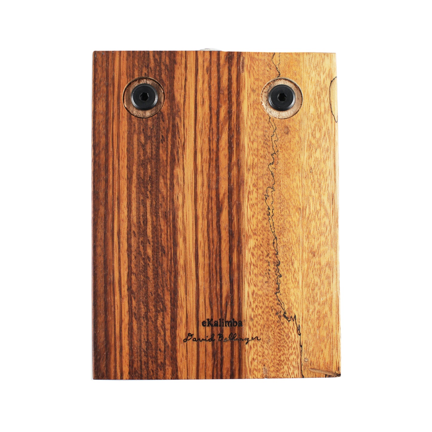 Buck Tooth Nyunga Nyunga