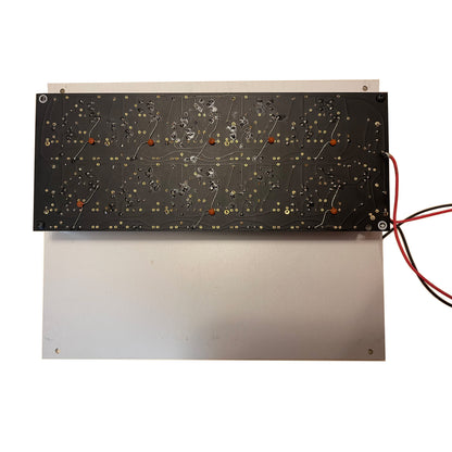 Buchla - Octave Format Filter Model 195 Module