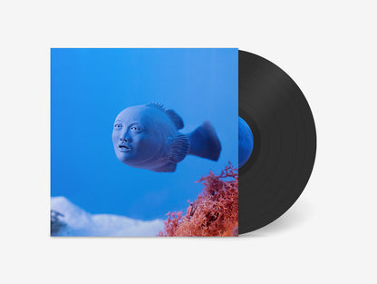 Hainbach - Assertion Vinyl LP